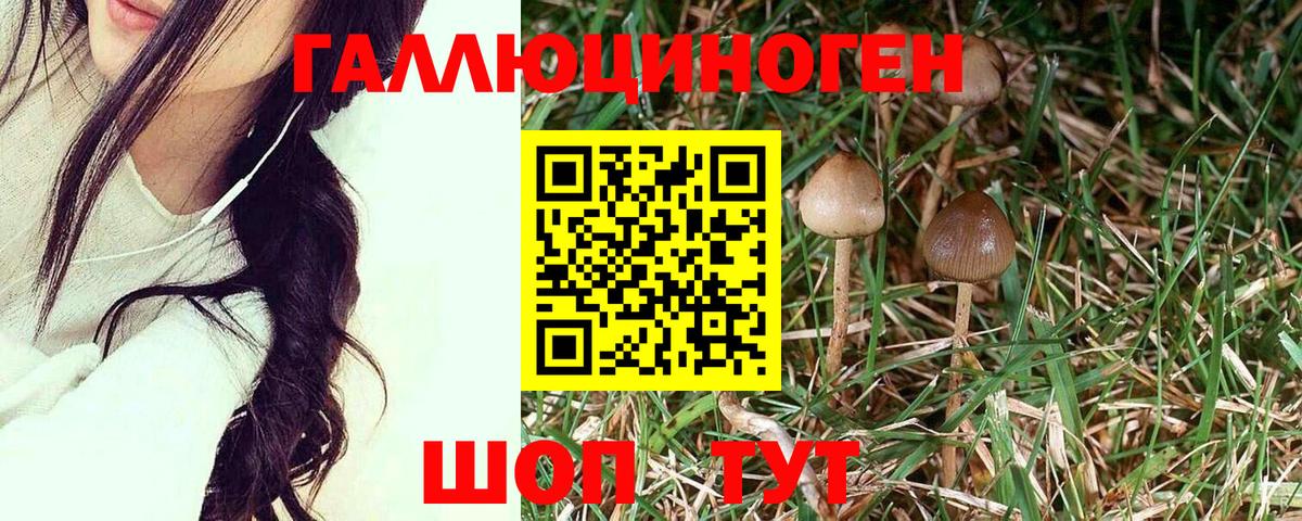Псилоцибиновые грибы Magic Shrooms Среднеуральск
