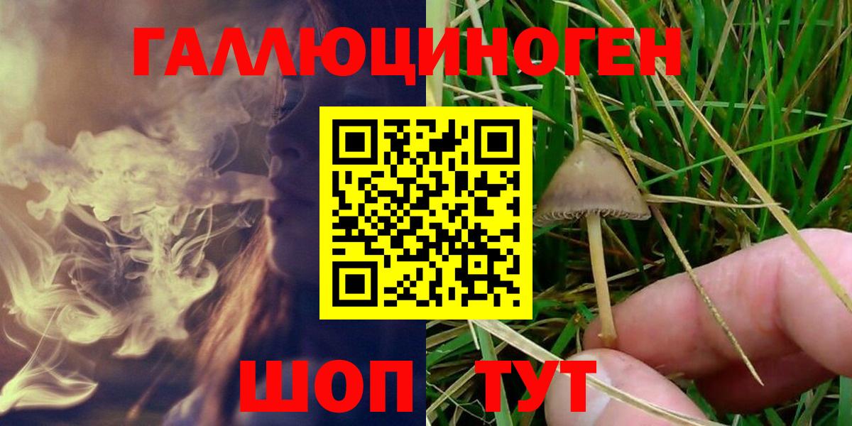 Среднеуральск  Псилоцибиновые грибы Psilocybine cubensis  Псилоцибиновые грибы мухоморы  Вход с VPN 